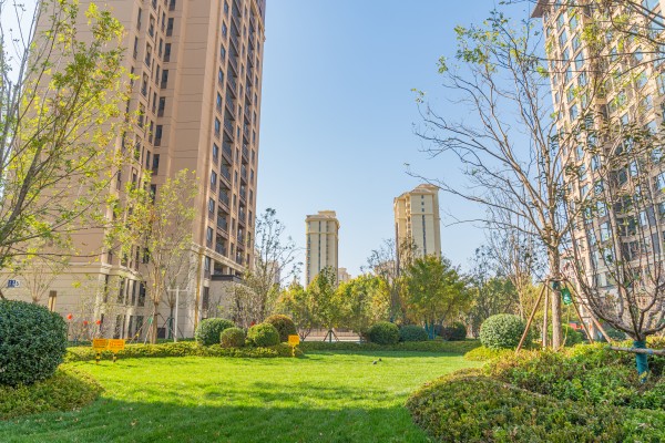 1699850946569715.jpg 中央云著2.jpg